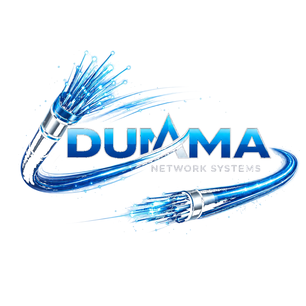 Dumma Network Systems Logo